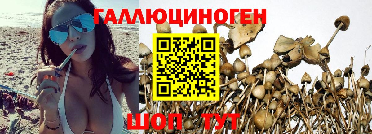 МЕТАДОН Джанкой