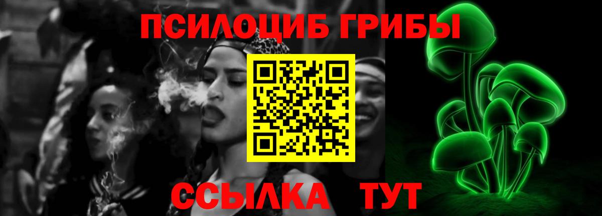 Галлюциногенные грибы Psilocybine cubensis  Псилоцибиновые грибы прущие грибы  Джанкой  Вход с VPN 